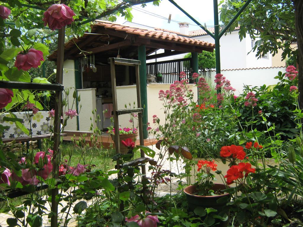 Guest House Bizjak Vinkuran Exterior foto